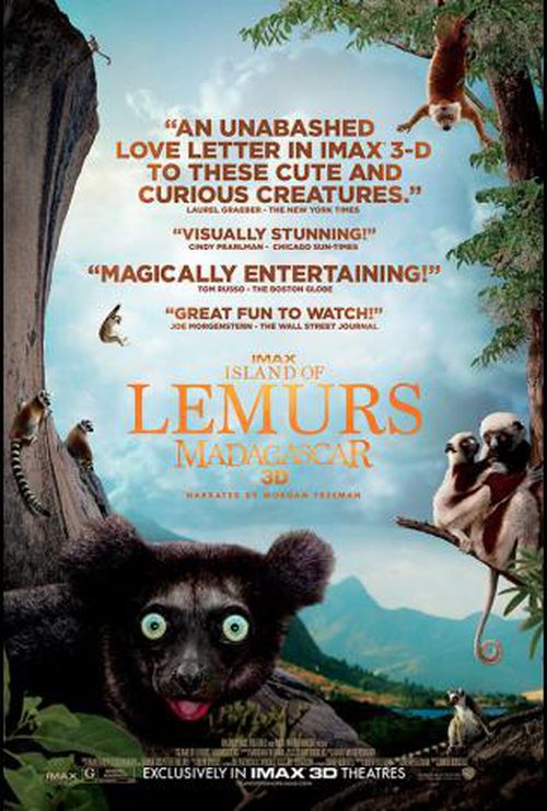 Island of Lemurs: Madagascar 3D